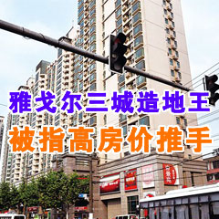 雅戈?duì)柸窃斓赝醣恢父叻績(jī)r(jià)推手