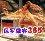 章魚(yú)保羅做客365