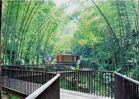 藏竹?醒竹!——貴州赤水竹海國(guó)家森林公園入口景觀建筑體